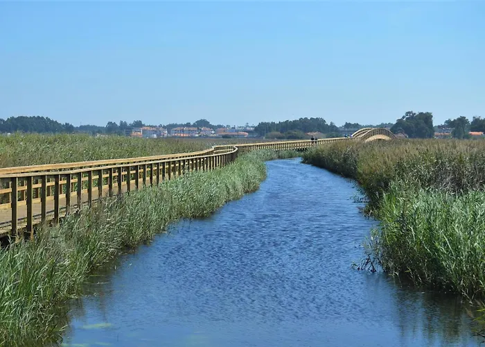 Pontesmar